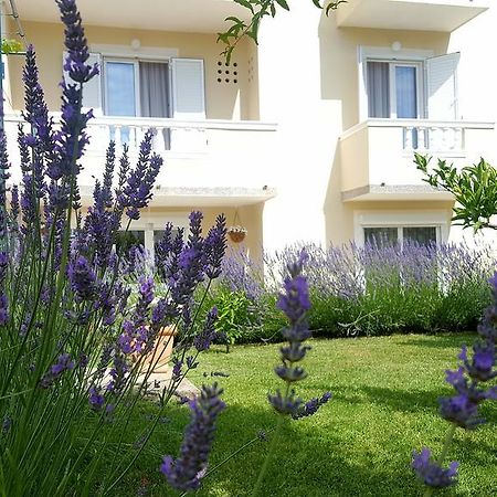 Apartment Branka Banjol Exterior photo
